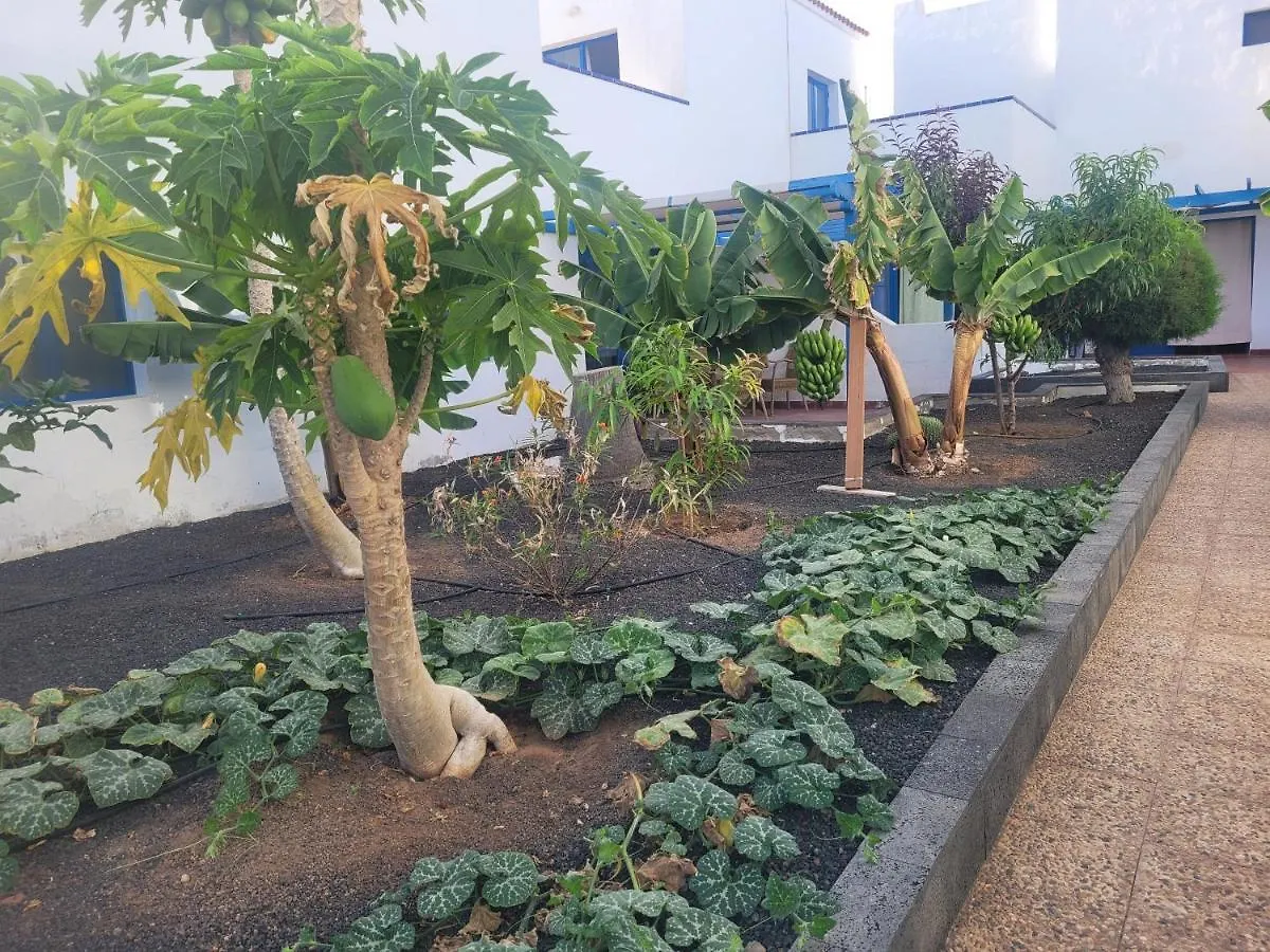 Nenita Apartment Caleta De Fuste İspanya